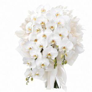 Orchid Bouquet — 蘭花花束